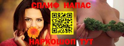 дживик Славгород