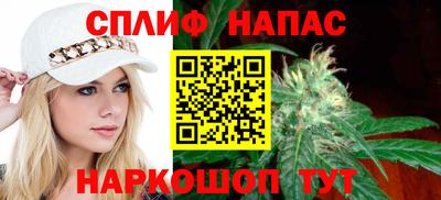 дживик Славгород