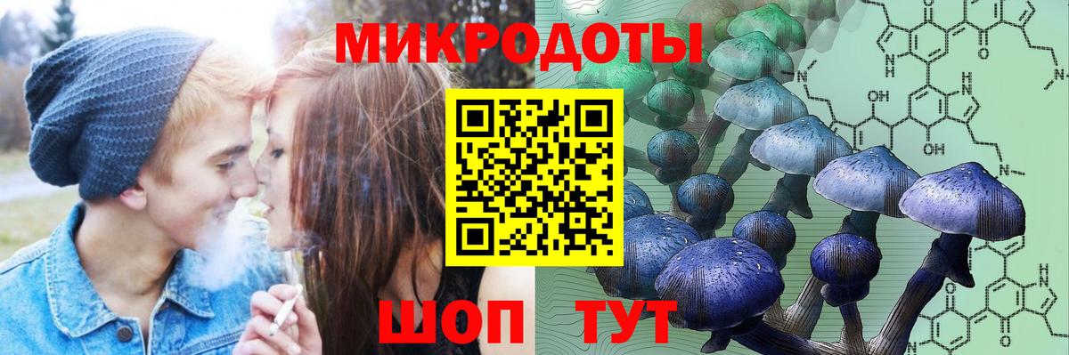 Галлюциногенные грибы Psilocybine cubensis  Вход с VPN  Нижний Тагил 